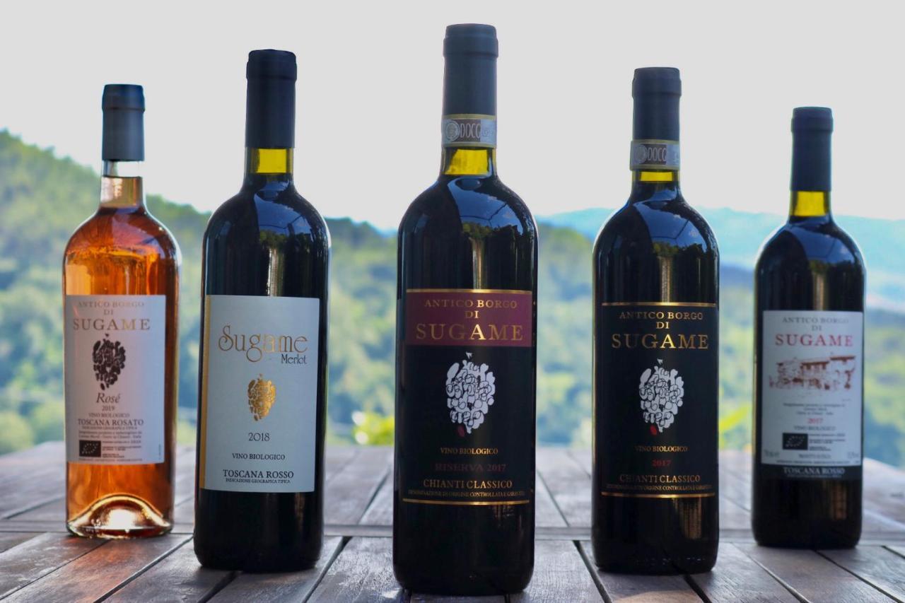 Antico Borgo Di Sugame Vila Greve in Chianti Exterior foto