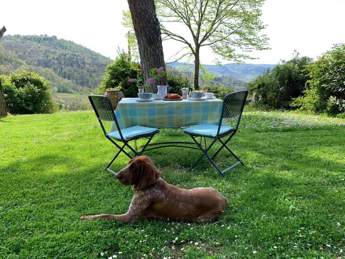 Antico Borgo Di Sugame Vila Greve in Chianti Exterior foto